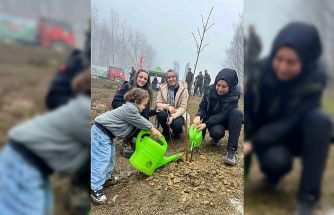 Türkeli’de yüzlerce fidan toprakla buluştu