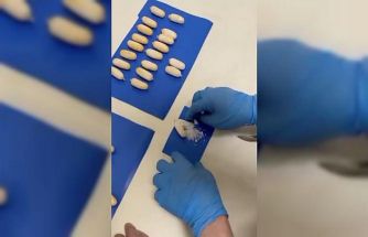 Türkiye’ye midesinde uyuşturucu sokan şahıslara operasyon