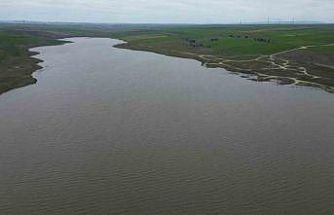 Türkmenli Göleti yeniden canlandı: Su seviyesi yükseliyor