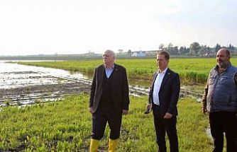 TZOB Genel Başkanı Bayraktar: "Üreticilerimize muhakkak nakdi yardım yapılması gerekiyor"