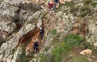 Uçurumdan düşen köpek 4 saatlik çalışmayla kurtarıldı