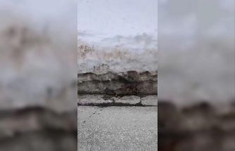 Uludağ’da tilkiye çarpan otomobil sürücüsü yaralı halde bırakıp kaçtı