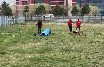 Uluslararası düzeyde alan ve enkaz arama köpekleri sınavı Afyonkarahisar’da başladı