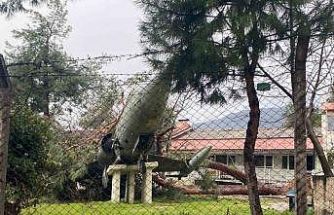 Üzerine ağaç düşen uçak zarar gördü