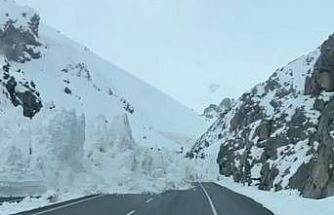 Van-Hakkari karayoluna çığ düştü