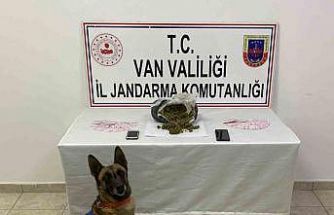 Van’da 1 kilo 64 gram skunk maddesi ele geçirildi