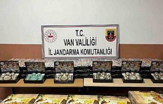 Van’da gümrük kaçakçılığı operasyonu