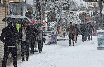 Van’da Mart sürprizi: Bahar beklerken kar kapıya dayandı