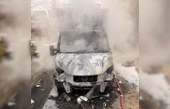 Van’da park halindeki kamyonet yandı