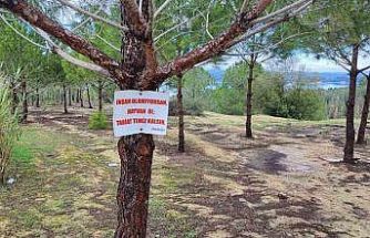 Vatandaşın ağaca astığı "Tabiat temiz kalsın" uyarısı yetmedi