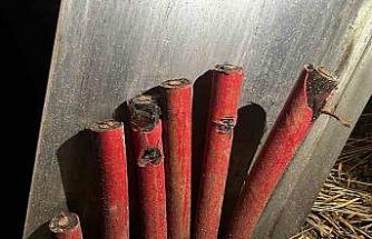 Vinç kiralayarak 1 milyon TL’lik kablo çaldılar