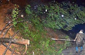 Yağış ağaçları devirdi, yol kısa sürede açıldı