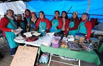 Yağmur dinlemediler: Bodrum Acı Ot Festivali’ne ziyaretçi akını