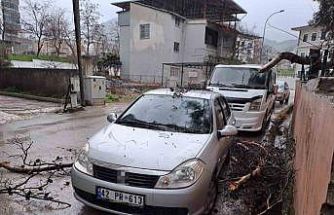Yağmur ve şiddetli rüzgar çam ağacını devirdi, otomobil zarar gördü