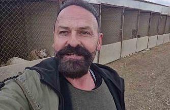 Yavru kangal gönlünü Sibirya kurduna kaptırdı