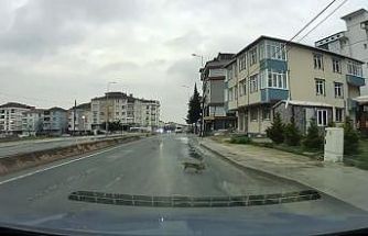 Yoldan geçerken arabanın altında kalan kedi koşarak kaçtı: O anlar araç kamerasına saniye saniye yansıdı