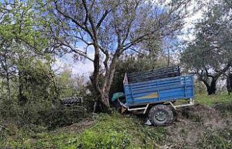 Zeytin bahçesine uçan patpatın sürücüsü öldü