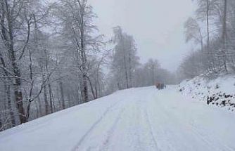 Zirvede kar eğlencesi: Bidonlarla kaydılar, traktörle kızak çektirdiler
