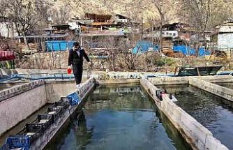 300 bin balık telef oldu; Genç girişimci ayakta kalma mücadelesi veriyor