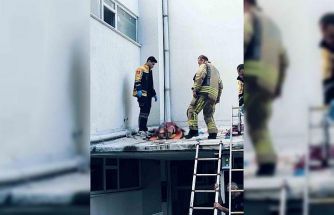 4 el silah sesi duyuldu, kadın kendini 6. kattan aşağı attı