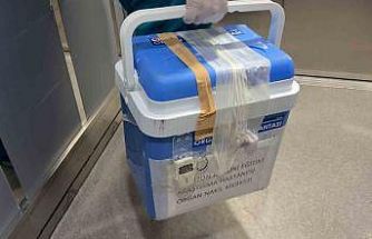 96 yaşındaki kadının bağışlanan karaciğeri bir hastaya umut oldu