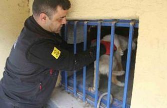 Açlıktan bitkin düşen kedi itfaiye ekiplerince kurtarıldı