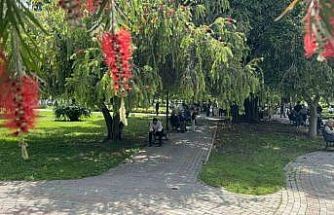 Adana’da termometreler 41 dereceyi gösterdi