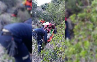 Adana’da yamaç paraşütü kazası: Ağaçta mahsur kaldı