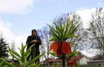 Ağlayan gelinler 5 yıl sonra baharı karşıladı