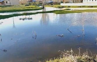 Ağrı’da sağanak nedeniyle dereler taştı