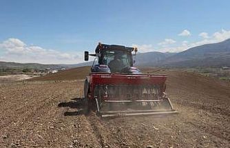 Akıncılar Belediyesi, nohut tohumlarını toprakla buluşturdu