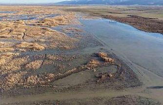 Akşehir Gölü’nde yıllardır görülmeyen oldu