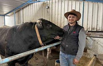Aksiliklerinden kantara çıkamıyorlar: 4 yaşındaki dev tosunları gören bir daha bakıyor