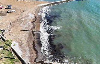 Alanya’da sahildeki siyah tabaka önce  tedirgin etti, gerçek sonradan ortaya çıktı