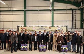 Amasya’da çiftçilere 16 bin kilo yonca tohumu desteği