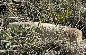 Ankara’da vatandaş mantar ararken patlamamış top mermisi buldu