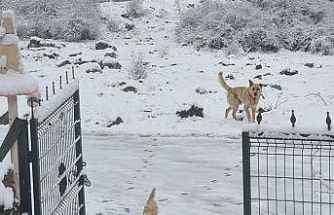 Ankara’ya nisan ayında kar yağdı