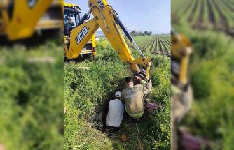 Antakya’da kuyuya düşen büyükbaş hayvan kurtarıldı