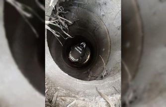 Antakya’da kuyuya düşen köpeği itfaiye kurtardı