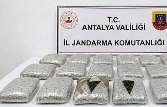 Antalya’da jandarmadan uyuşturucu operasyonu: 30 kilogram skunk maddesi ele geçirildi