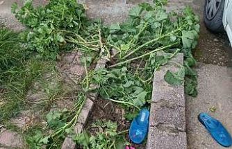 Antalya’da küçük çocuk ikinci kattan düştü, olayı kırıklarla atlattı