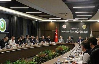 Antalya’da orman yangınlarına karşı sıkı önlemler