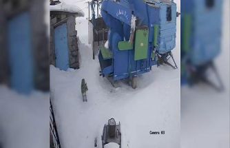 Ardahan’da aç kalan vaşak köye indi