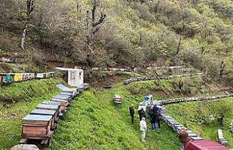Artvin apiturizmde gelecek vadediyor