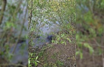 Asi Nehrinde kimliği belirsiz erkek cesedi bulundu