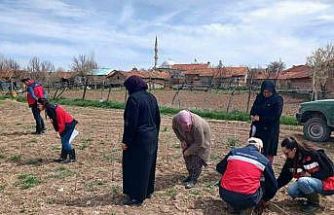 Aslanapa’da çiftçilere yönelik eğitim ve saha çalışmaları gerçekleştirildi