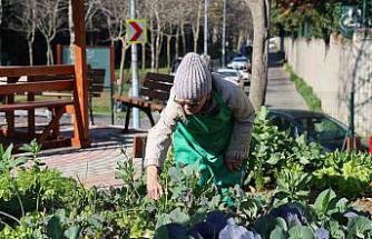 Ataşehir Kent Bostanları’nda yeni dönem heyecanı başlıyor