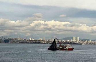 Av mevsiminin son gülerinde istavrit bolluğu