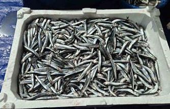 Av yasağı öncesi pazarda yoğunluk