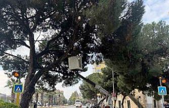 Aydın’ın en işlek noktasına estetik dokunuş